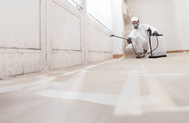 24/7 Emergency Mold Remediation experts in Millburn, NJ